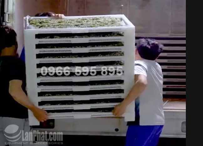 Khay nhựa giao tằm con KT: 800x600mm